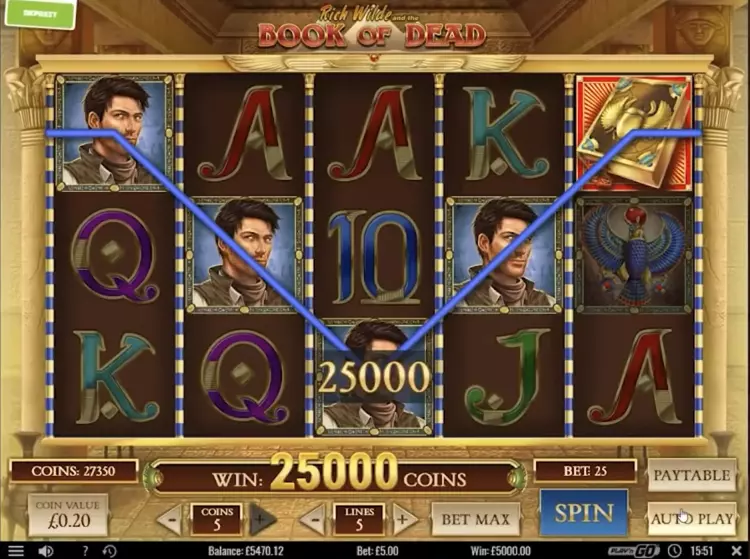 Большой выигрыш в Book of Dead